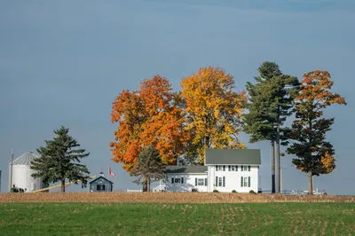 A Craftsman-style home on a wide Indiana street with a covered front porch and garden beds.