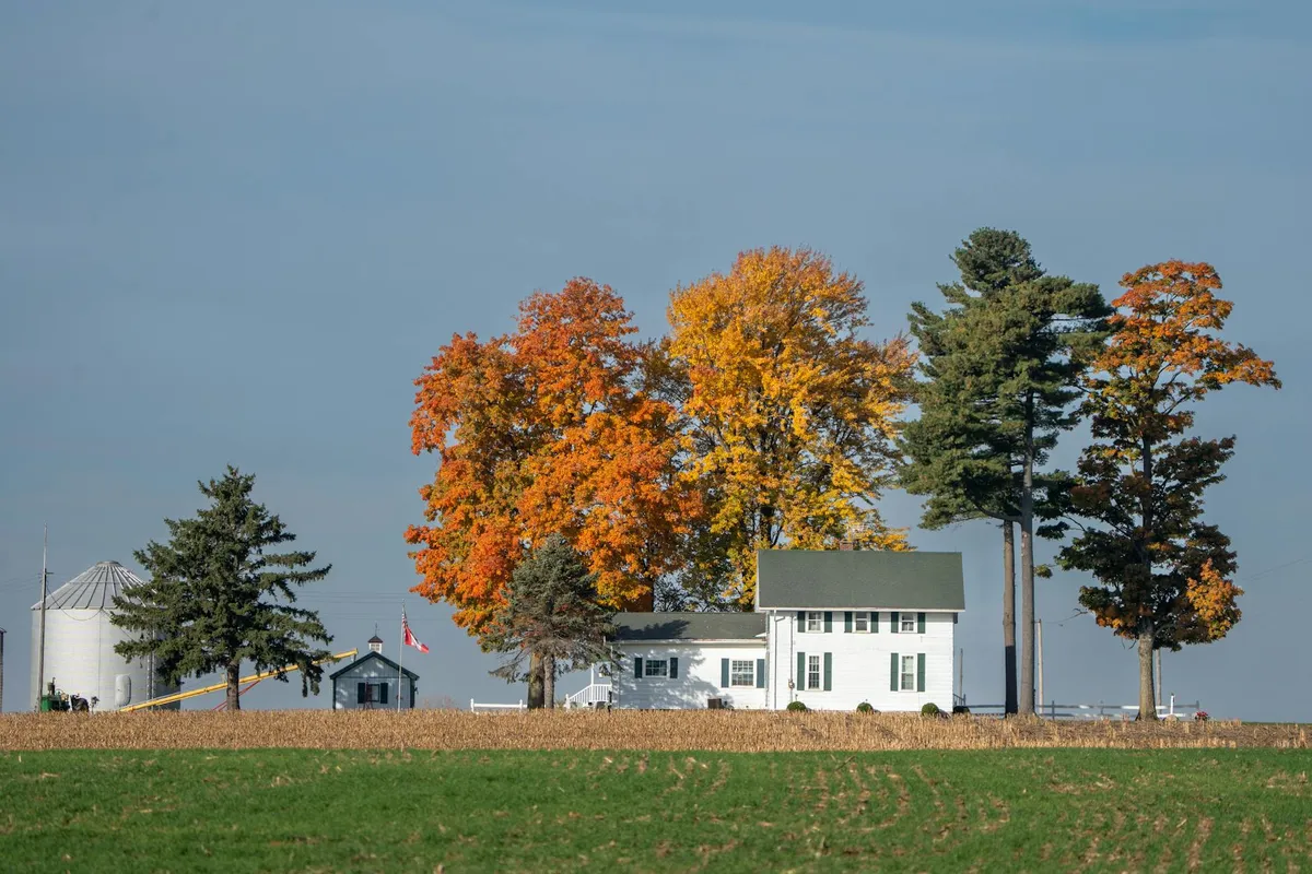 A Craftsman-style home on a wide Indiana street with a covered front porch and garden beds.