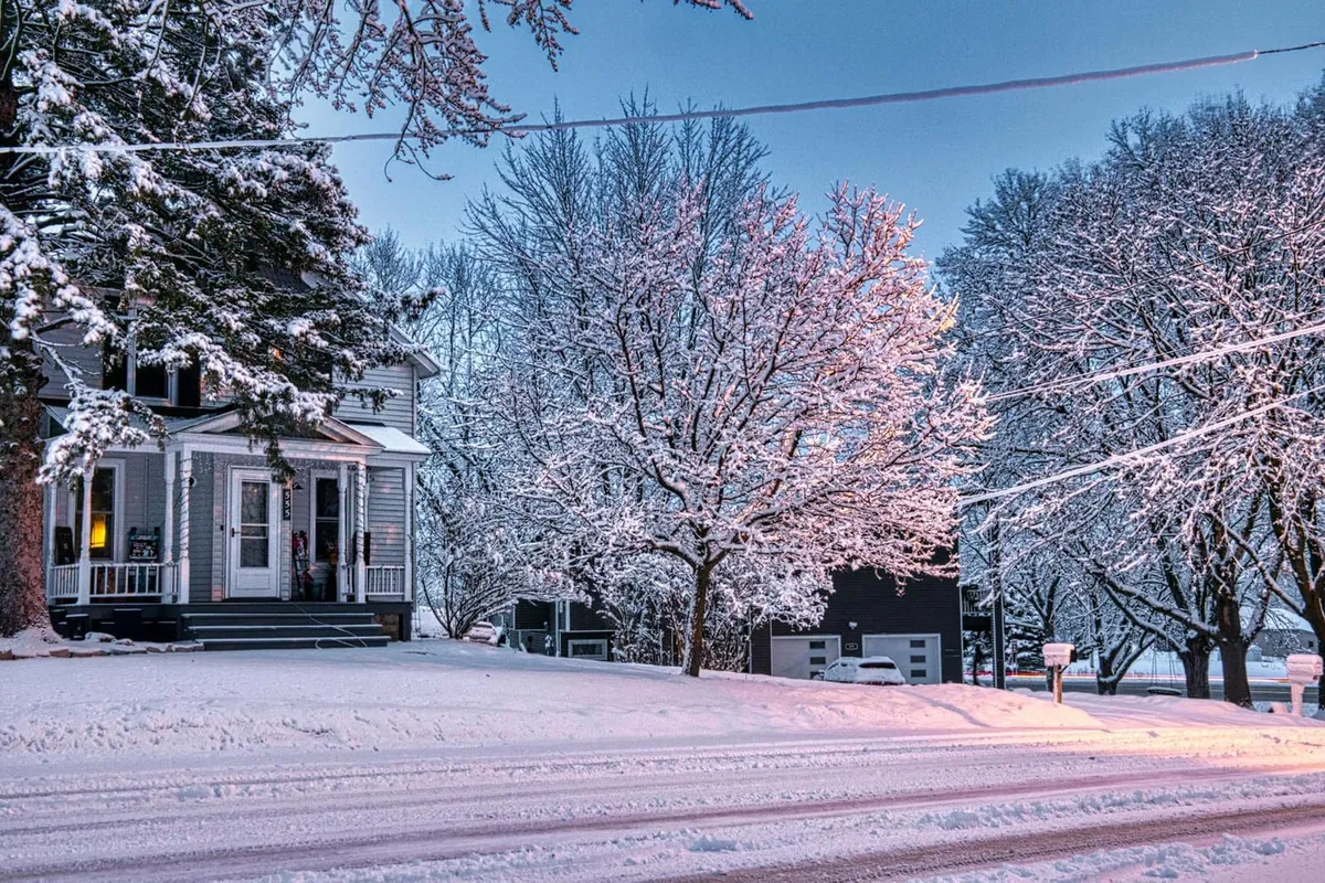 A craftsman-style Michigan home with mature maple trees in the front yard and a covered porch.