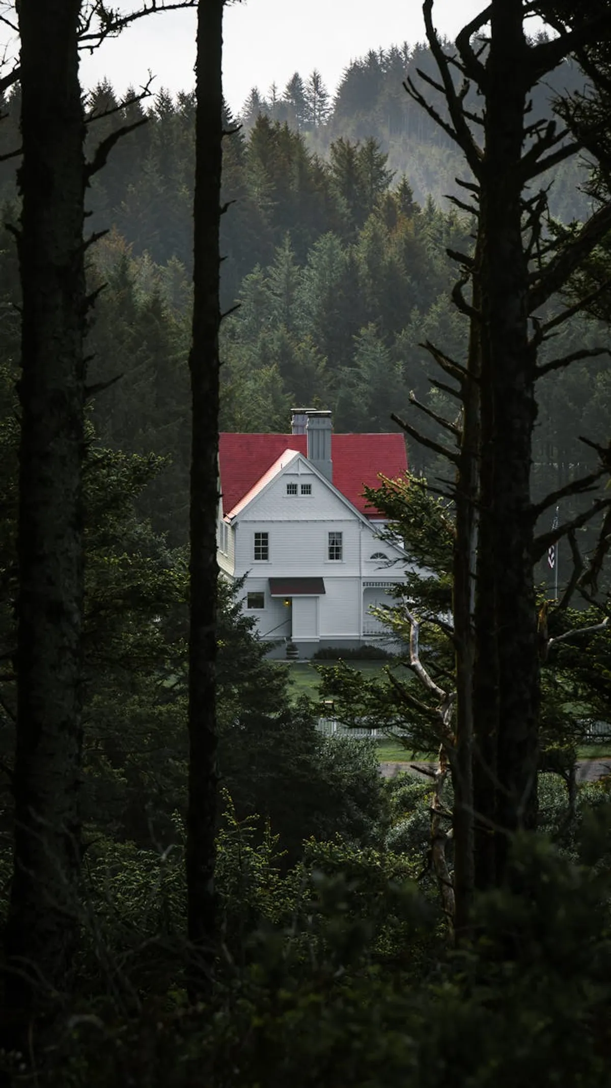 A small Oregon home surrounded by tall fir trees with a flower garden in the front yard.