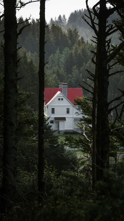 A small Oregon home surrounded by tall fir trees with a flower garden in the front yard.